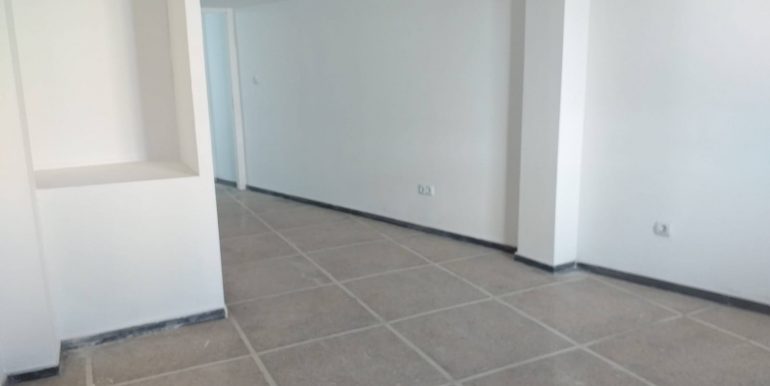 AAA1679665430162
