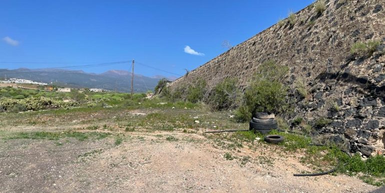 AAAPHOTO-2023-03-08-09-59-43_3