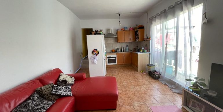 AAAPHOTO-2023-03-08-09-59-45_1